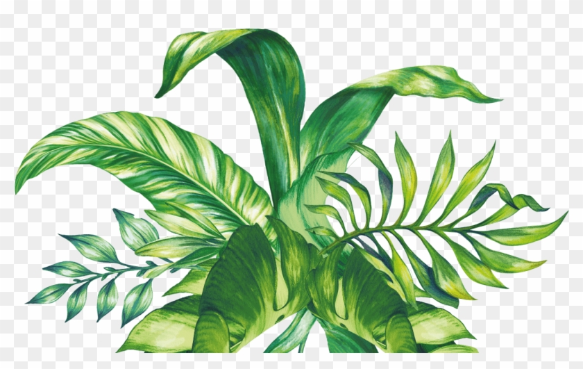 Pretty Leaves - Pretty Leaves - Free Transparent PNG Clipart Images Download