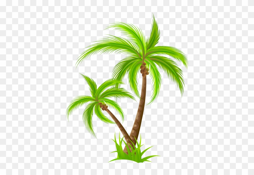 Palm - Happy Birthday Hawaiian Theme #1284823