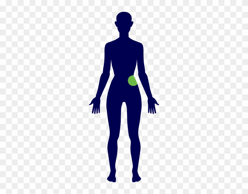 Hip - Promet Physical Therapy, Pc #1284861