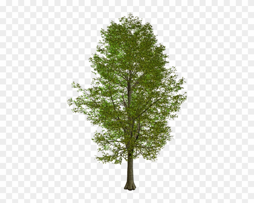 Villa Clip Art Portable Network Graphics House Image - Tilia Png #1285000