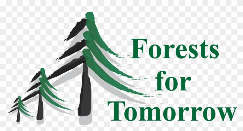 Portable Network Graphics - Forests For Tomorrow #1285003