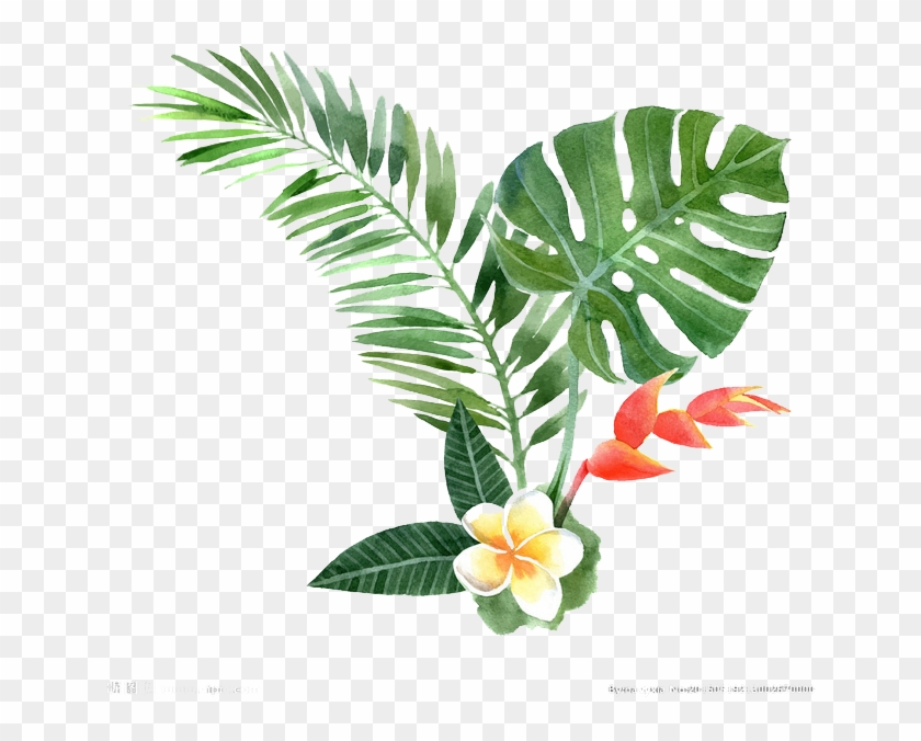 Watercolor Painting Drawing Plant Illustration - Tropical Plant Clip Art #1285015