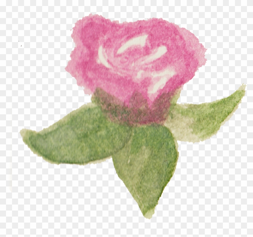 Watercolour Flowers Garden Roses Watercolor Painting - Garden Roses #1285017