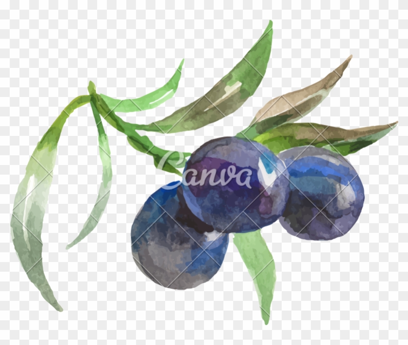 Watercolor Painting Of Grapes Vector Icon Illustration - Water Color Vegetables #1285039