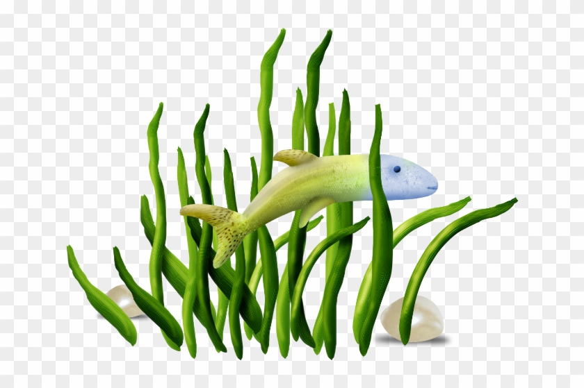 Watercolor Painting Clip Art - Eel #1285047