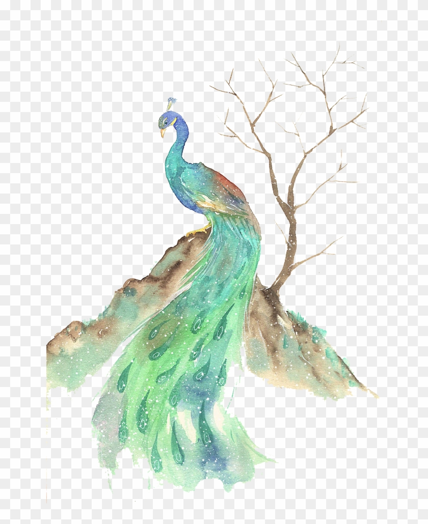 Bird Watercolor Painting Illustration - Water Color Peacocks Png #1285072