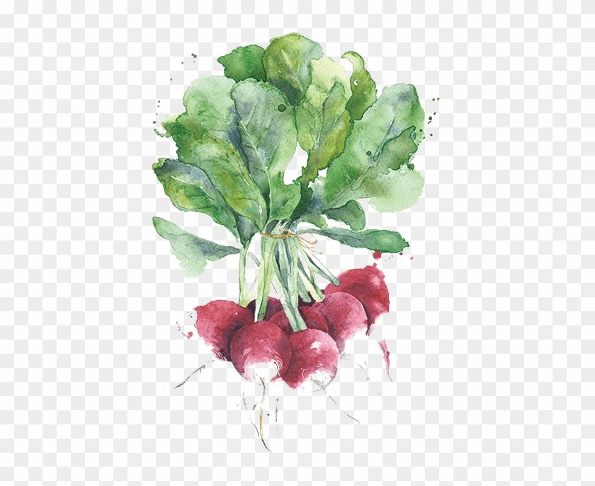 Watercolor Painting Vegetables #1285073