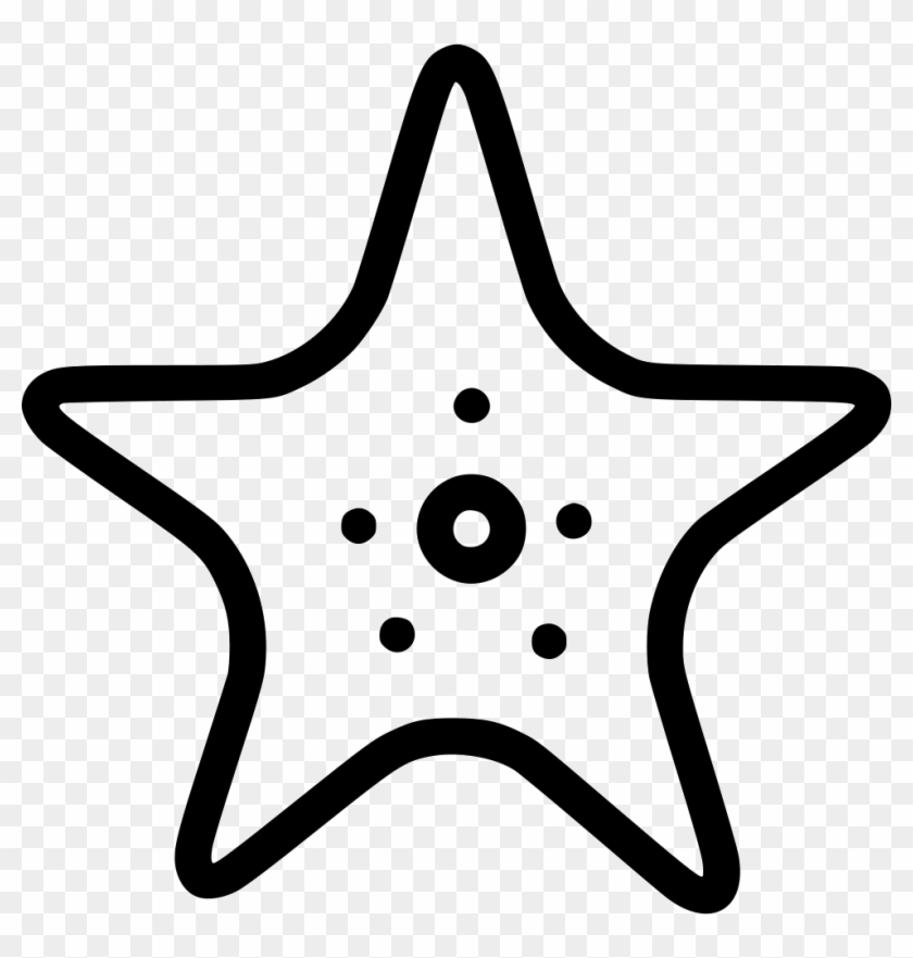 Starfish Comments - Star Fish Icon #1285401