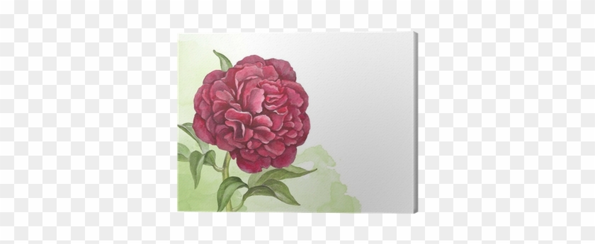 Watercolor Background With Illustration Of Peony Flower - Gigant.pl Torebka Upominkowa Kr 1424 M #1285439