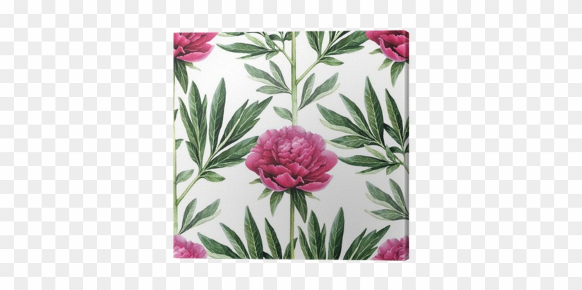 Watercolor Peony Flowers Illustration - Watercolor Painting #1285463