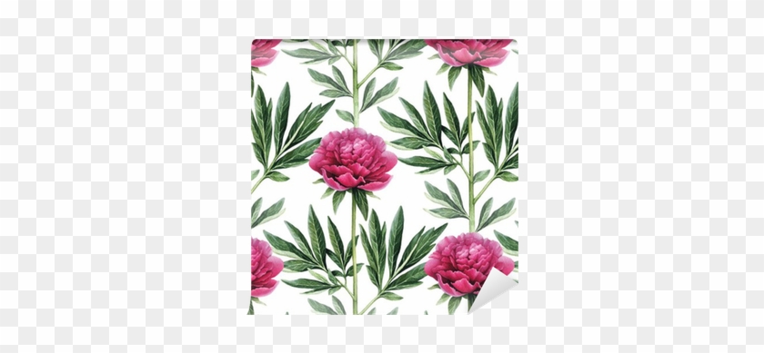 Watercolor Peony Flowers Illustration - Watercolor Painting #1285467