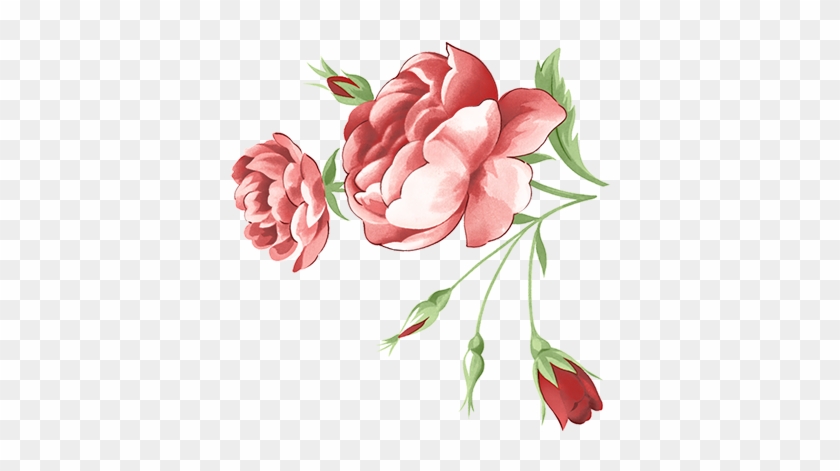 Tubes Victoriens / Fleurs - Розовые Розы Клипарт #1285522