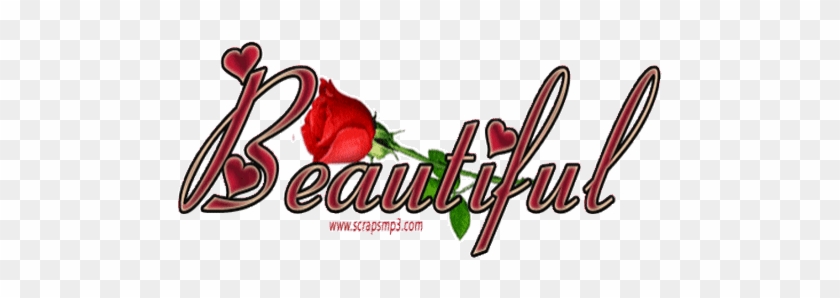 Beautiful Animated Rose Hearts Beautiful Hello Bea - Rose #1285594