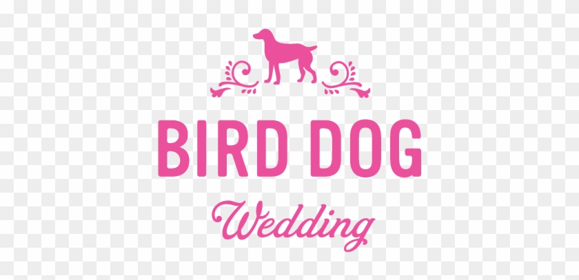 Bird Dog Wedding #1285806
