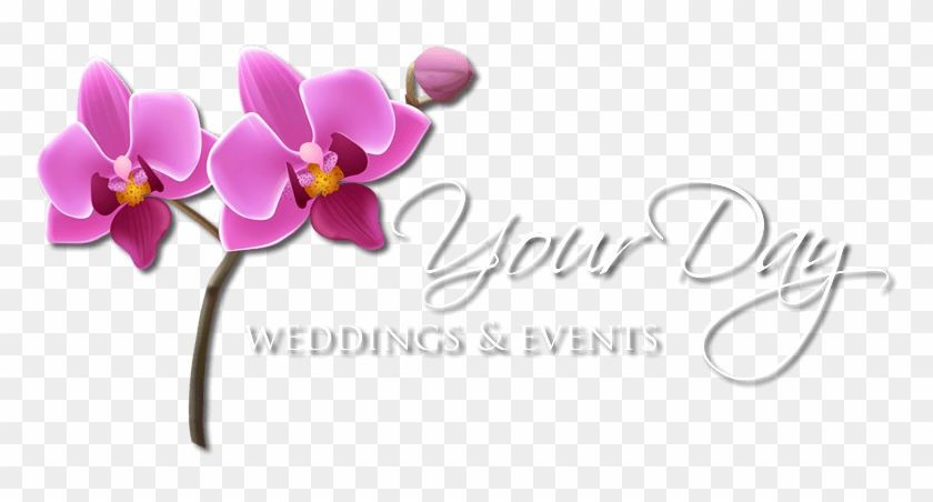 Las Vegas Nevada Wedding Planner - Your Day Weddings & Events, Inc. #1285854