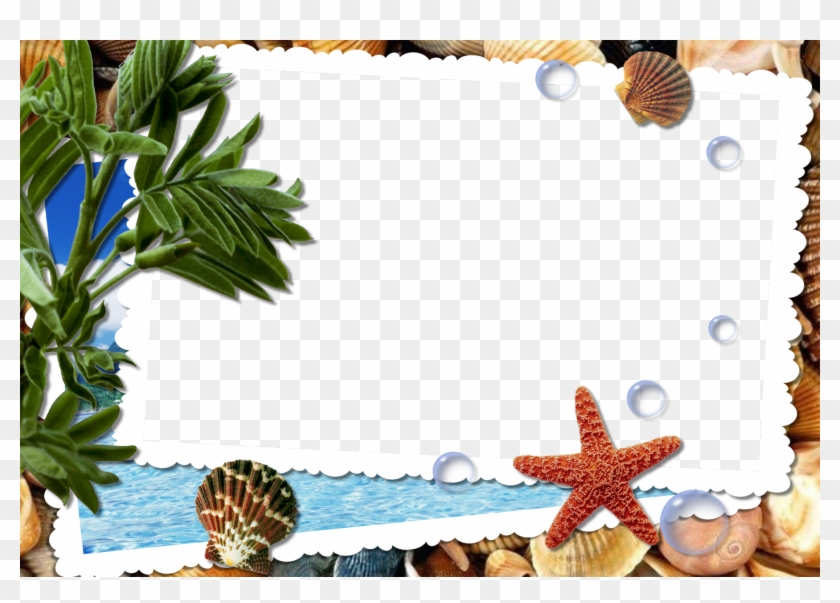 Frame Cadre Vacances Png #1285905