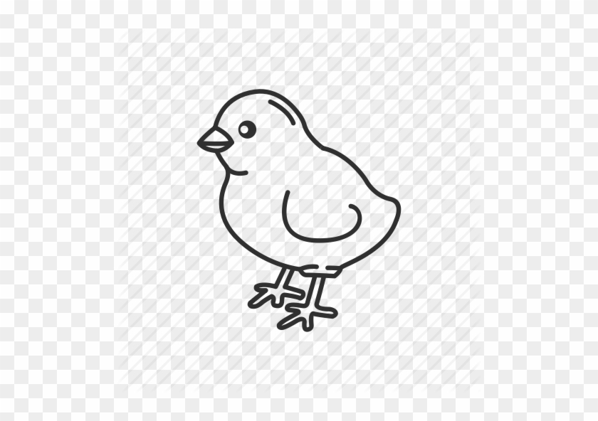 792625 Bird - Bird #1286190