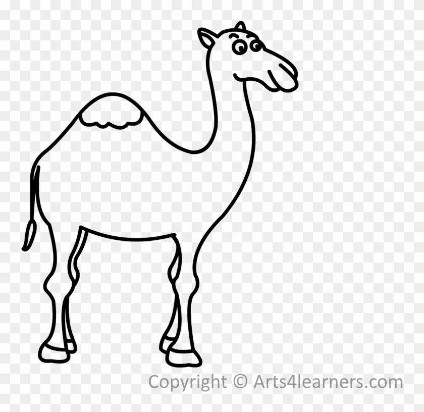 How To Draw A Camel Easy Step By Step - Drawing #1286196