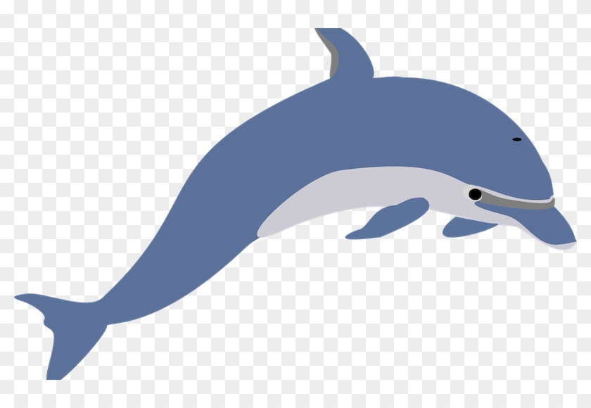 Dolphin Facts For Kids - Free Clip Art Dolphin #1286223