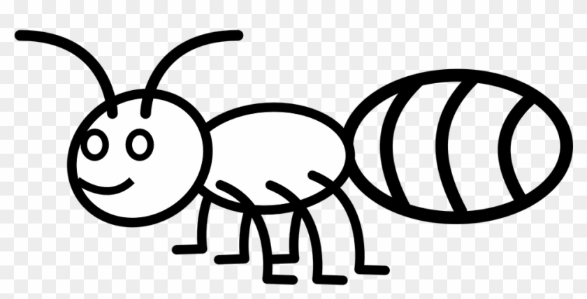 Collection Of Cute Cartoon Ant - Coloring Picture Of Ant #1286286
