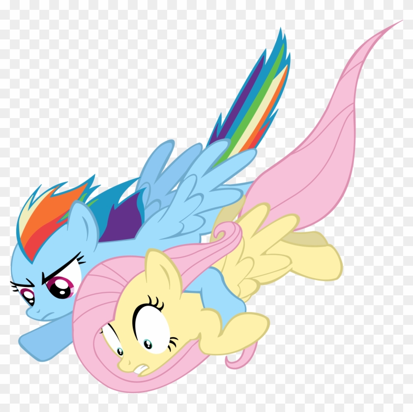 Masterrottweiler Rainbrow Dash And Fluttershy To The - Rainbow Dash And Fluttershy Fly #1287269