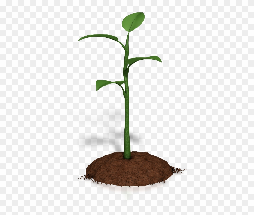 Plant Animation Microsoft Powerpoint Clip Art - Growth Plant Png #1287343