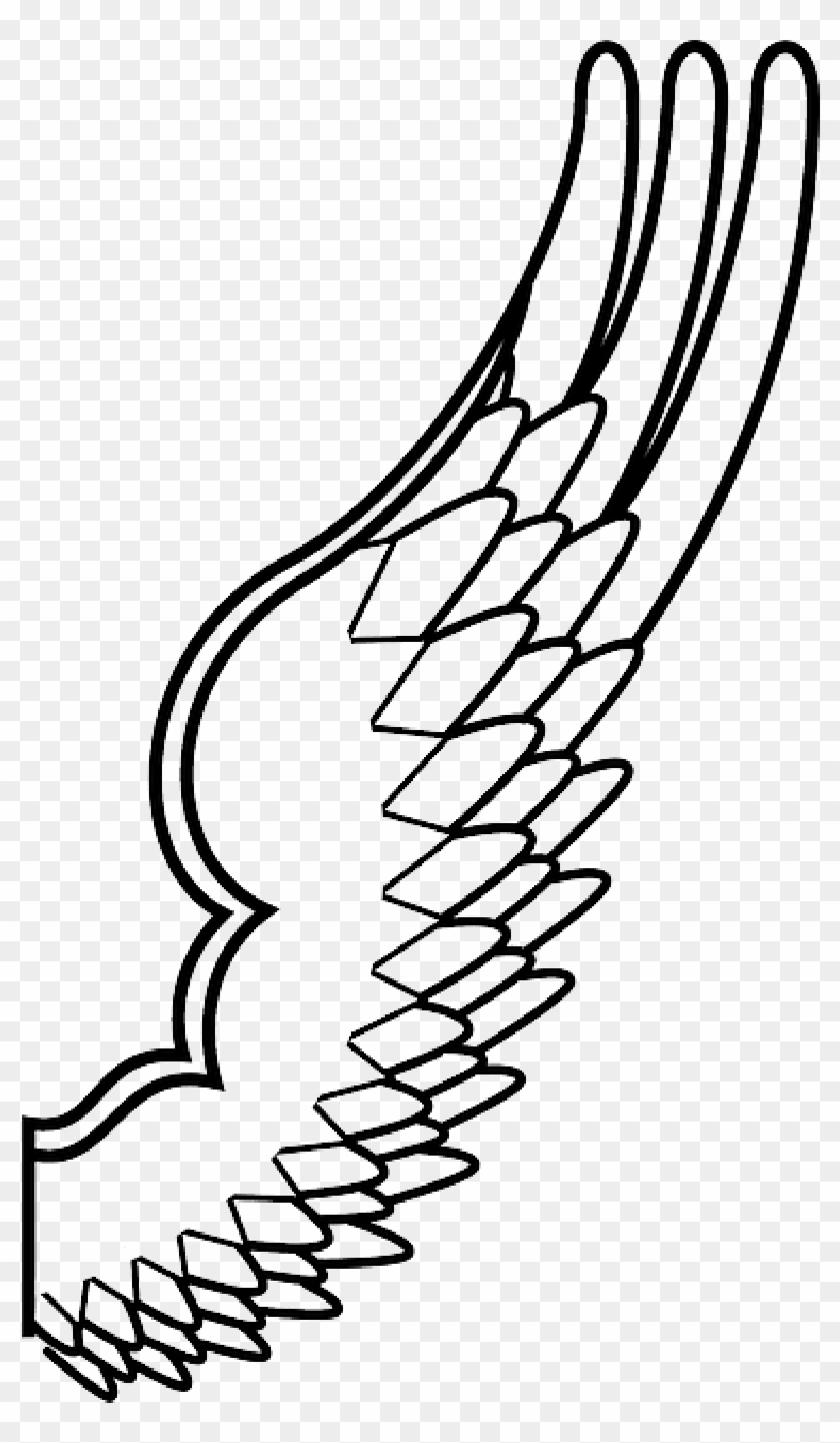 Spread, Drawing, Design, Angel, Wing, Feathers - Bird Wings Coloring Pages #1287435