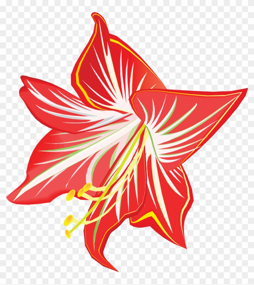 Amaryllis Flower Only - Amaryllis Flower Only #1287710