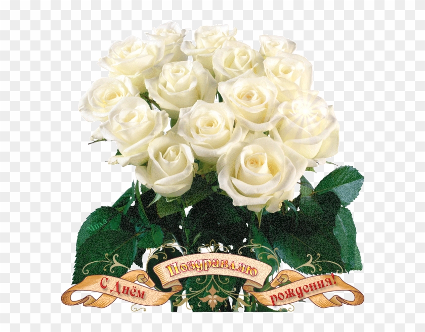 Beautiful Flowers Roses White #1287726