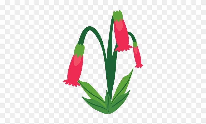Fuchsia Flower Spring Image - Illustration #1287756