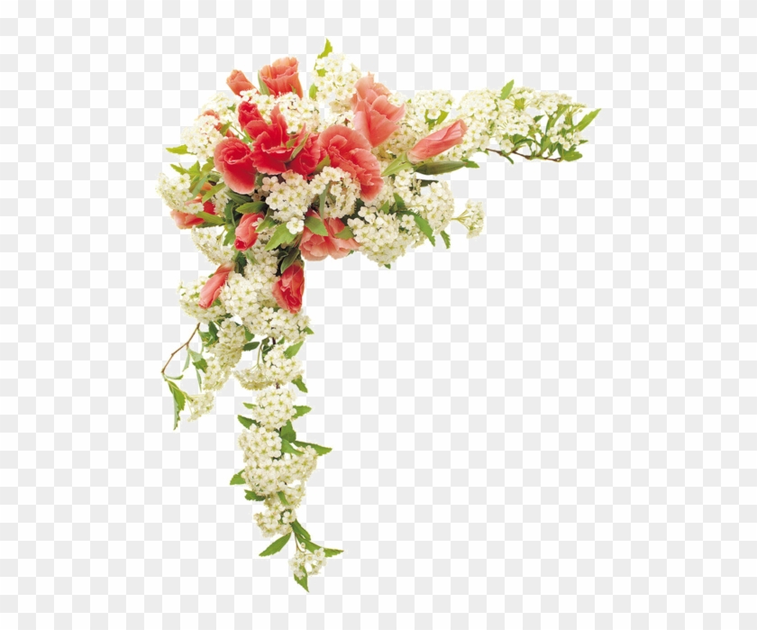 Transparency Flower Border Designs #1287825