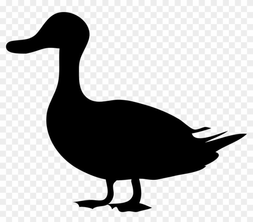 Amd Clipart Duck - Duck Silhouette #1287827