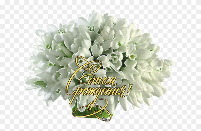 Цветы В День Рождения - Soft Flower With White Background #1287867