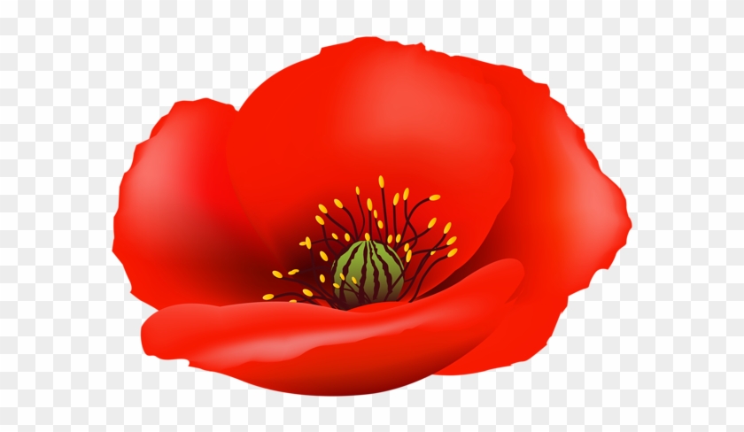 Poppy Flower Png Clip Art Image - Clip Art #1288167