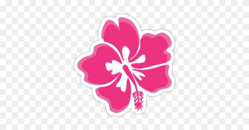 Hibiscus - Laptop #1288185