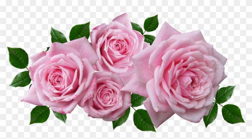 Roses, Floral, Arrangement, Romantic, Garden, Blooms - Hybrid Tea Rose #1288255