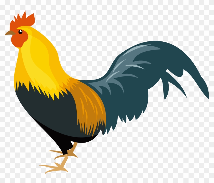 Rooster Chicken Drawing Clip Art - Rooster Clipart #1288465