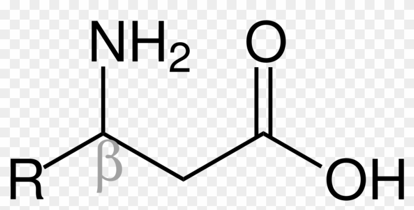 Beta-amino Acid Formula V2 - Amino Acid-based Formula #1289218