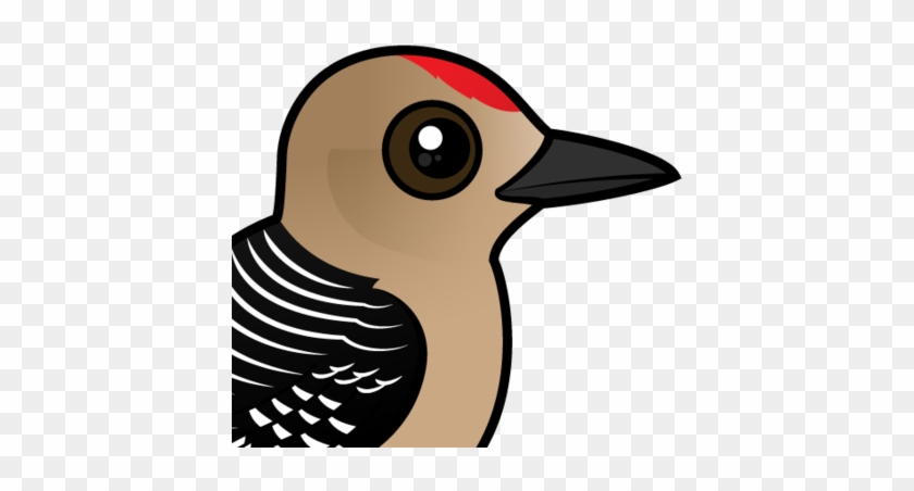 Woodpecker Clipart Two - Zazzle Birdorable Gila Woodpecker Ring, Adult Unisex, #1289475