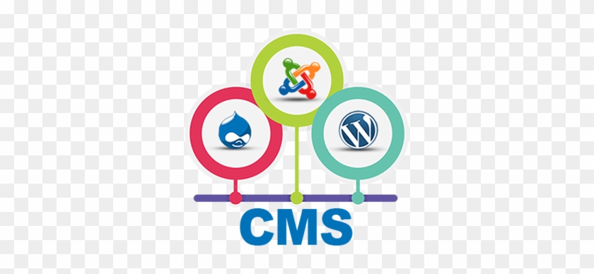 Cms Website Designing - Web Design #1289553