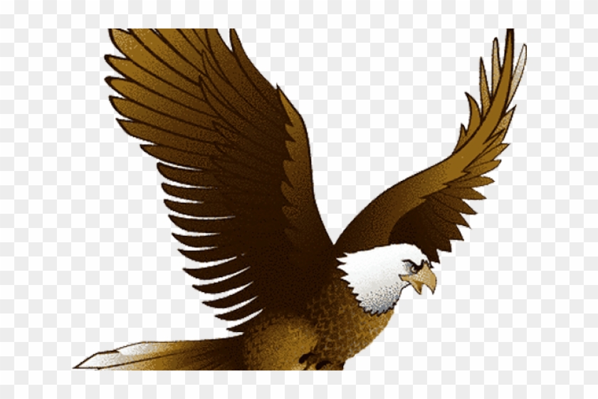 Bald Eagle Clipart Traceable - Soaring Eagle Eagle Clip Art #1289981