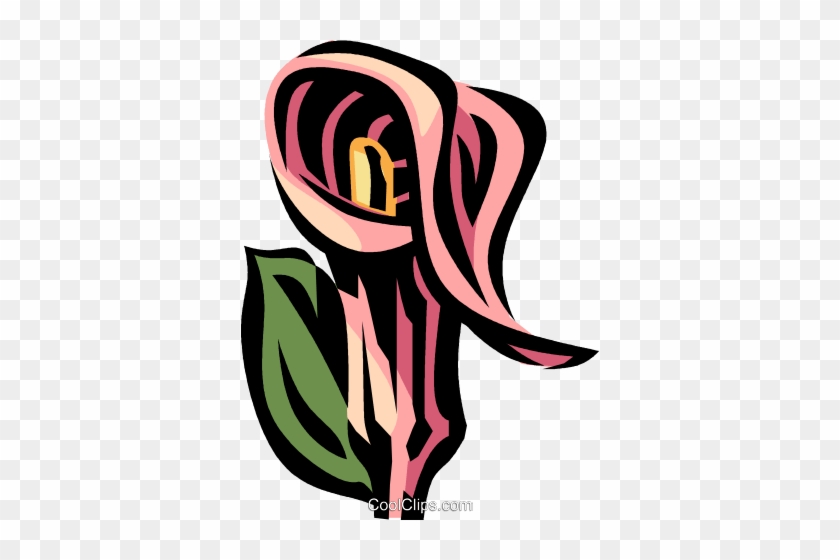 Jack In The Pulpit Royalty Free Vector Clip Art Illustration - Jack In The Pulpit Royalty Free Vector Clip Art Illustration #1290678