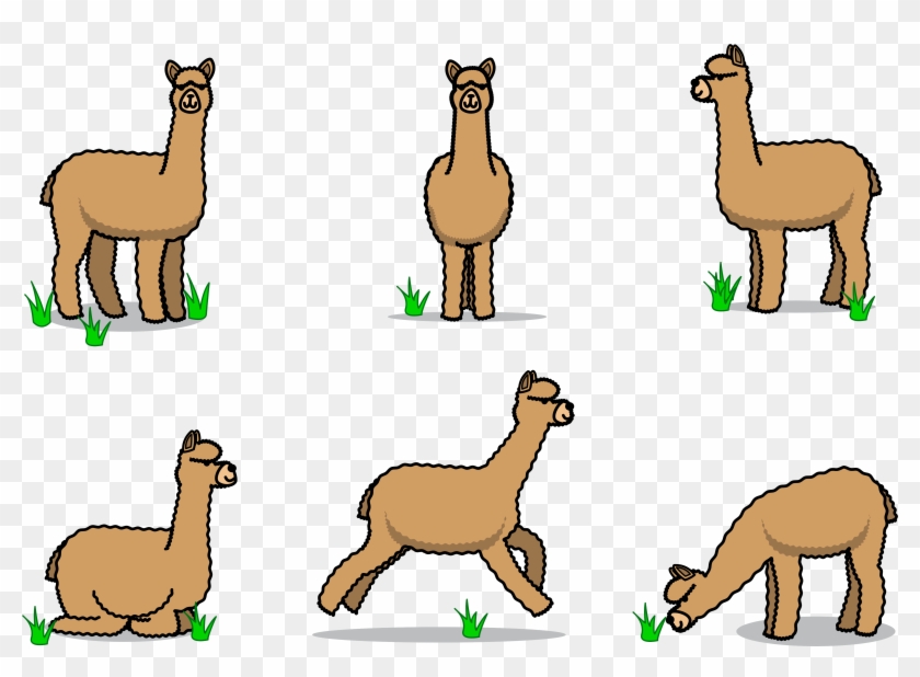 Stick Figure Alpaca - Alpaca Transparent #1290907
