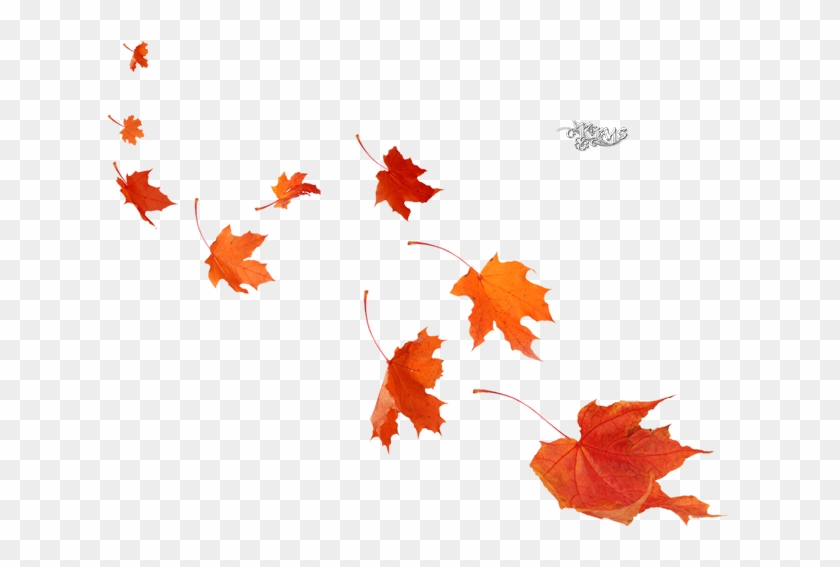 Maple Leaf Poster Autumn Mural - Portable Network Graphics #1291037
