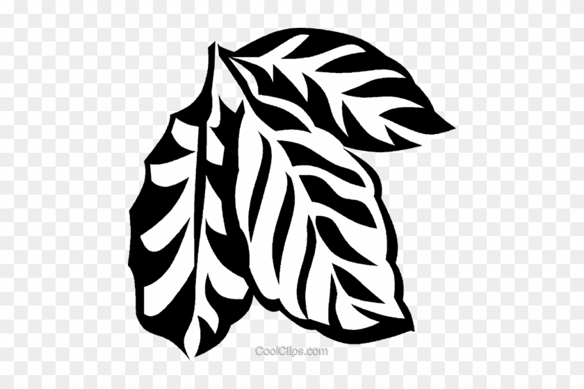 Coffee Plant Royalty Free Vector Clip Art Illustration - Coffee Plant Vector Png #1291092