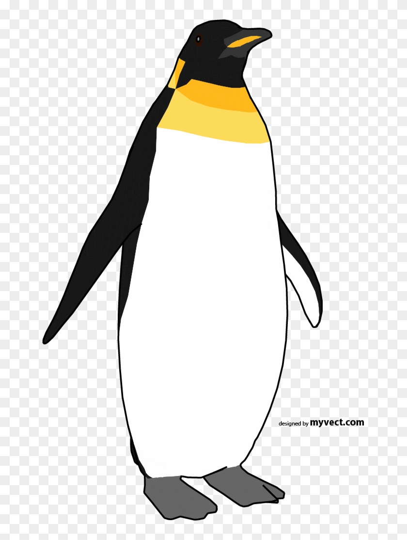 Penguin Vector - King Penguin #1291132