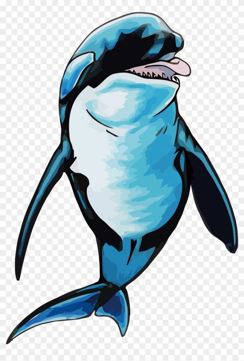 Penguin Dolphin Killer Whale Porpoise - Killer Whale Face #1291137