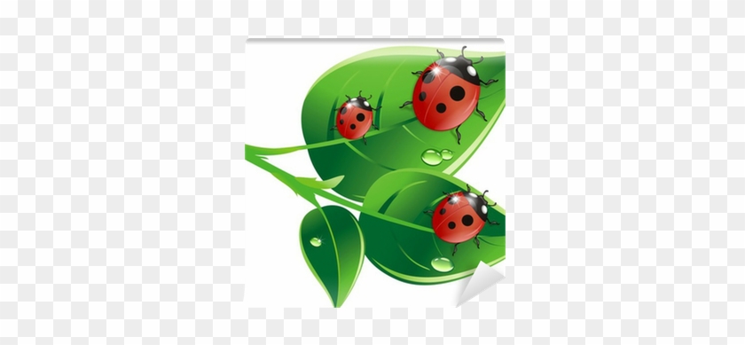 Ladybird Beetle #1291317