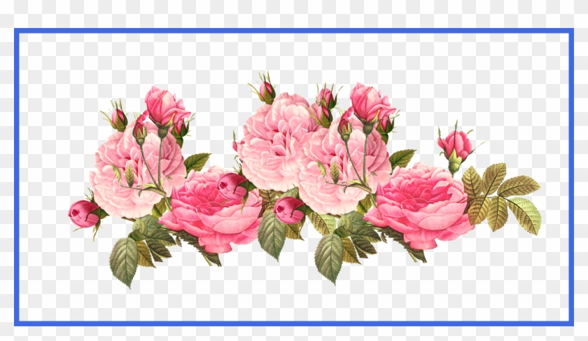 Astonishing Vintage Pink Rose U Pics For Lotus Flower - Astonishing Vintage Pink Rose U Pics For Lotus Flower #1291391