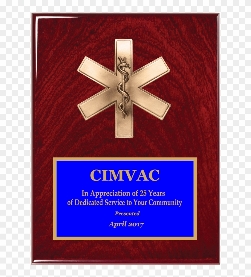 Cove Edge Plaque W/ Bronze Cast Star Of Life Relief - Cove Edge Plaque W/ Bronze Cast Star Of Life Relief #1291478